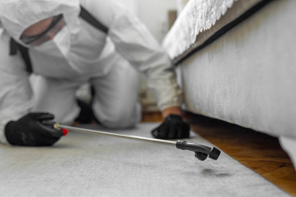 Professional Mosquito Control technician working in Dover, AR