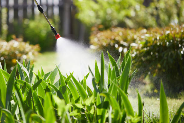 24/7 Emergency Mosquito Control experts in Dover, AR