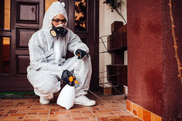 Reliable Mosquito Control contractor in Dover, AR by Nex Pest Control
